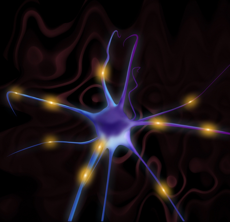 An artistic rendition of a neuron with impulses represented by glowing points.