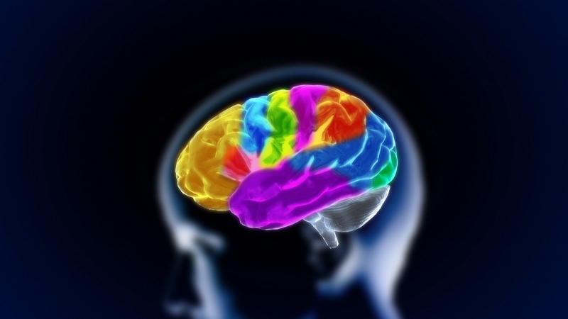 Colorful brain activity illustration within a human silhouette head profile on a dark background.