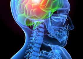 image of brain lit up with orange and green color