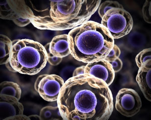 3d illustration of cells at a microscopic level, highlighting detailed structures of cell membranes and nuclei.