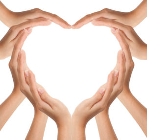 Hands forming a heart shape on a white background.