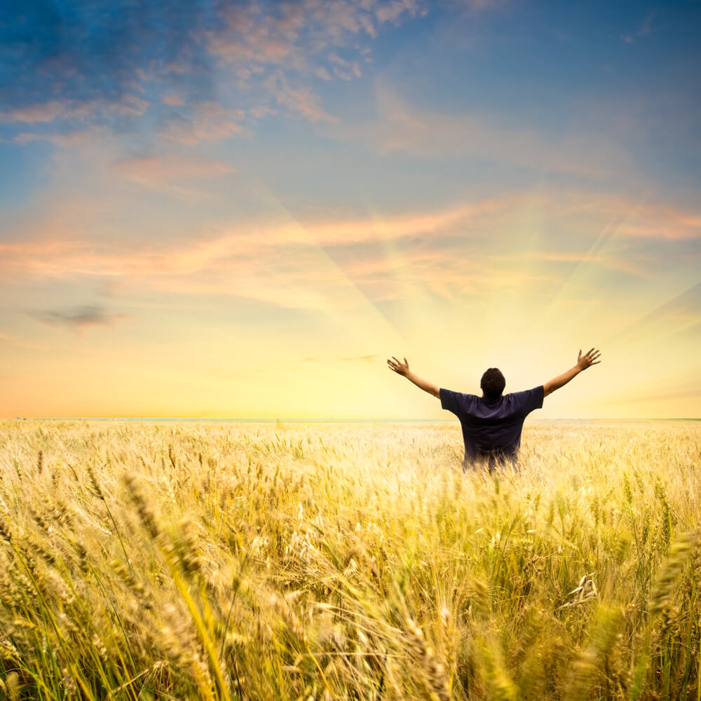 A person with outstretched arms standing in a wheat field at sunrise.