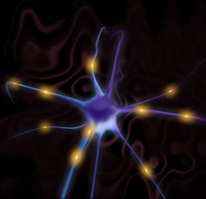 An artistic rendition of a neuron with impulses represented by glowing points.