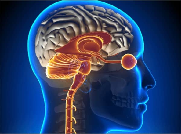 what is Brainspotting