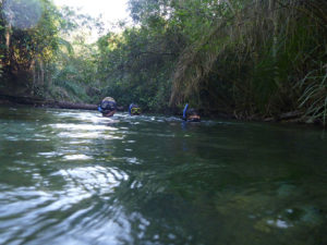 amazonsnorkeling