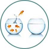 featured-icon-coaching